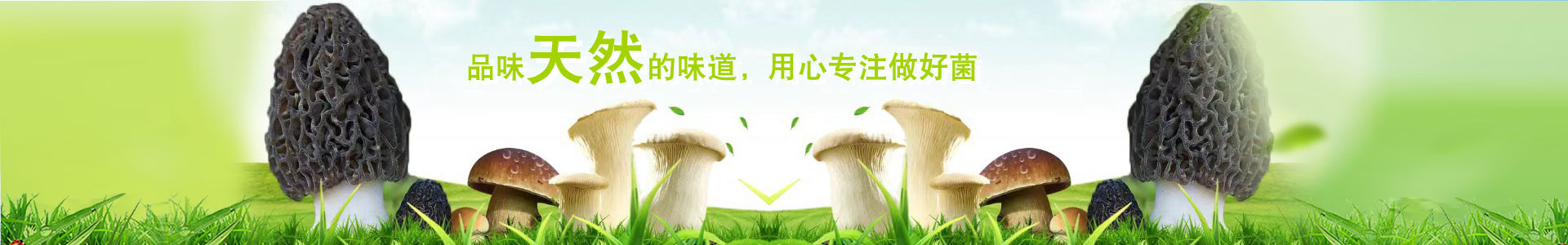 ���Ͼ�ɽ�f��ϘI(y��)����Ƽ����޹�˾